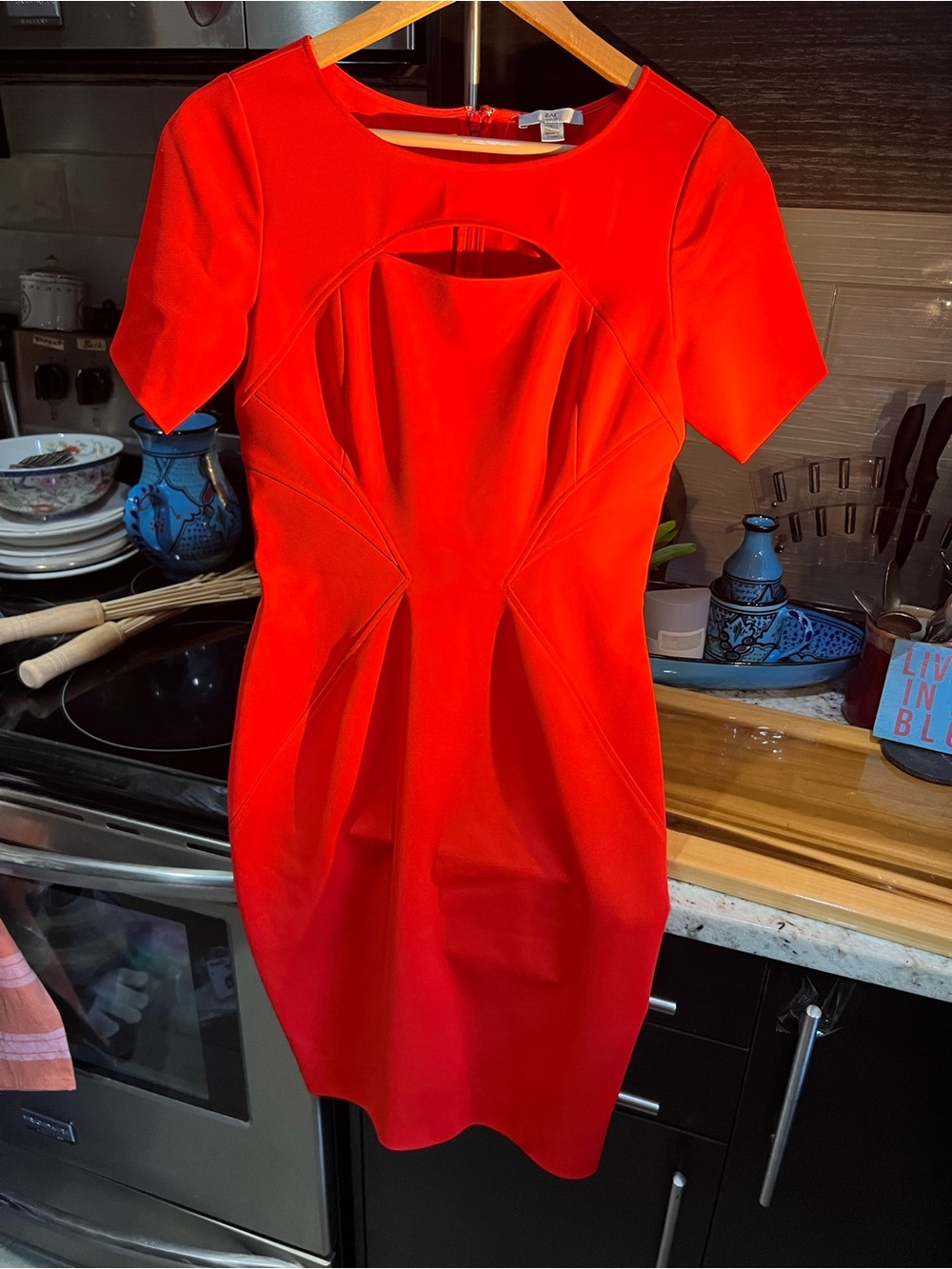 Zac Posen Vibrant Red Cutout Sheath Dress Like New!
